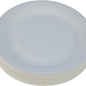 Paper Plate Hotpack Disposable  - 100 Pcs