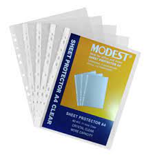 Punched Pockets Modest 100 Pcs