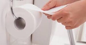 Tissues for Toilet paper Roll 120 Rolls Fine Brand