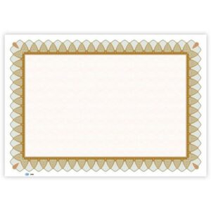Certificate Paper Plain Design  Pocket Of 10 Pieces A4 Size FSCLC002